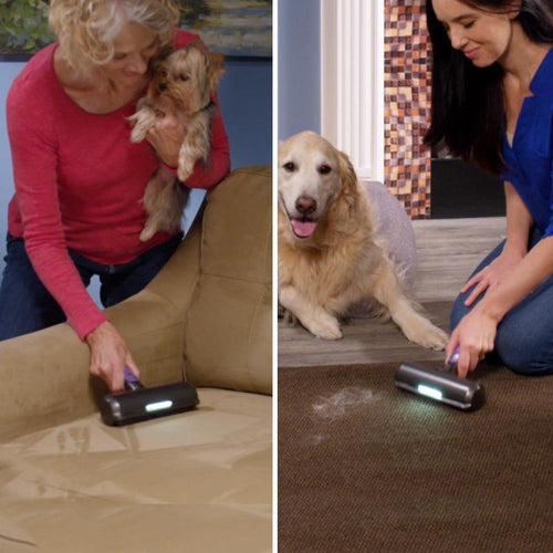 Pet Hair Removal With Light Lent Remover