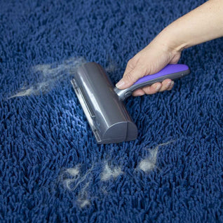 Pet Hair Removal With Light Lent Remover