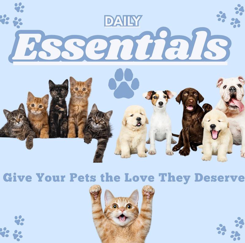 🐾The Everyday Essentials Your Pets